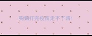 狗狗打完疫苗走不了路