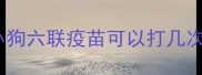 小狗六联疫苗可以打几次