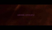 去除衣服上拉布拉多毛