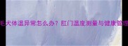 金毛犬体温异常怎么办肛门温度测量与健康管理全