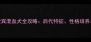 拉布拉多贵宾混血犬全攻略后代特征性格培养与饲养指南