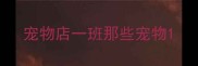 宠物店一班那些宠物