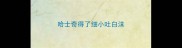 哈士奇得了细小吐白沫