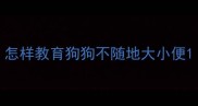 怎样教育狗狗不随地大小便