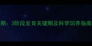萨摩犬成长周期3阶段发育关键期及科学饲养指南附成长表