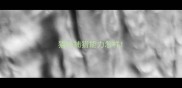 猫咪捕猎能力怎样