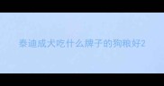 泰迪成犬吃什么牌子的狗粮好