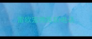 雷欧宠物医院电话