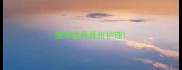 猫咪盆骨骨折护理