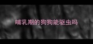 哺乳期的狗狗能驱虫吗