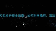黑色拉布拉多犬毛发护理全指南如何科学修剪清洁与日常维护