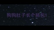狗狗肚子长个脓包