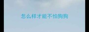 怎么样才能不怕狗狗