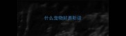 什么宠物好养听话