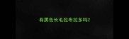 有黑色长毛拉布拉多吗