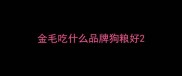 金毛吃什么品牌狗粮好