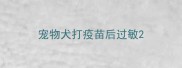 宠物犬打疫苗后过敏