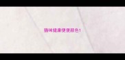 猫咪健康便便颜色