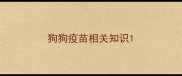 狗狗疫苗相关知识