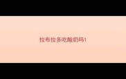 拉布拉多吃酸奶吗