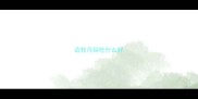 边牧月经吃什么好
