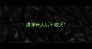 猫咪长大后不咬人