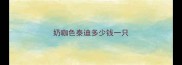 奶咖色泰迪多少钱一只