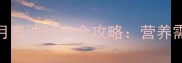 科学喂养两个月泰迪幼犬全攻略营养需求与禁忌清单