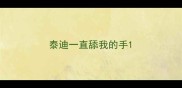 泰迪一直舔我的手