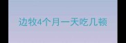 边牧4个月一天吃几顿