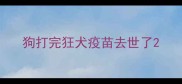 狗打完狂犬疫苗去世了