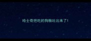 哈士奇把吃的狗粮吐出来了