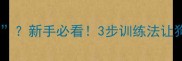 哈士奇为什么叫撒手没新手必看3步训练法让狗狗秒变牵绳小天使