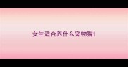 女生适合养什么宠物猫