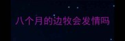 八个月的边牧会发情吗