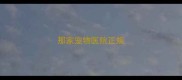 那家宠物医院正规