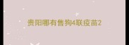 贵阳哪有售狗4联疫苗