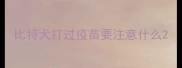 比特犬打过疫苗要注意什么