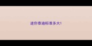迷你泰迪标准多大