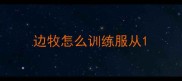 边牧怎么训练服从