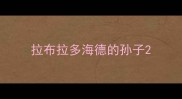 拉布拉多海德的孙子