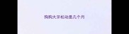 狗狗大牙松动是几个月