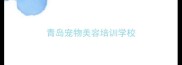 青岛宠物美容培训学校