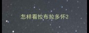 怎样看拉布拉多怀