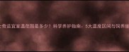 哈士奇适宜室温范围是多少科学养护指南5大温度区间与饲养细节