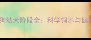 0-6月龄狗狗幼犬阶段全科学饲养与健康管理指南