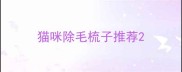 猫咪除毛梳子推荐