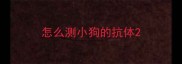 怎么测小狗的抗体