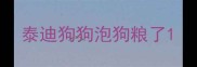 泰迪狗狗泡狗粮了