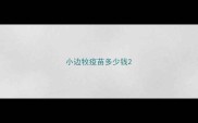 小边牧疫苗多少钱